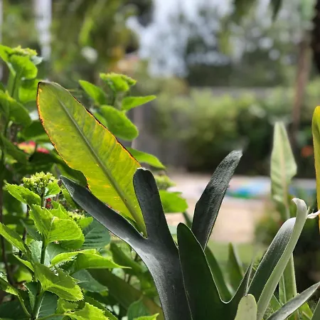 Villa Sunandbed Sargantana Salou