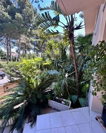 Sunandbed Sargantana *